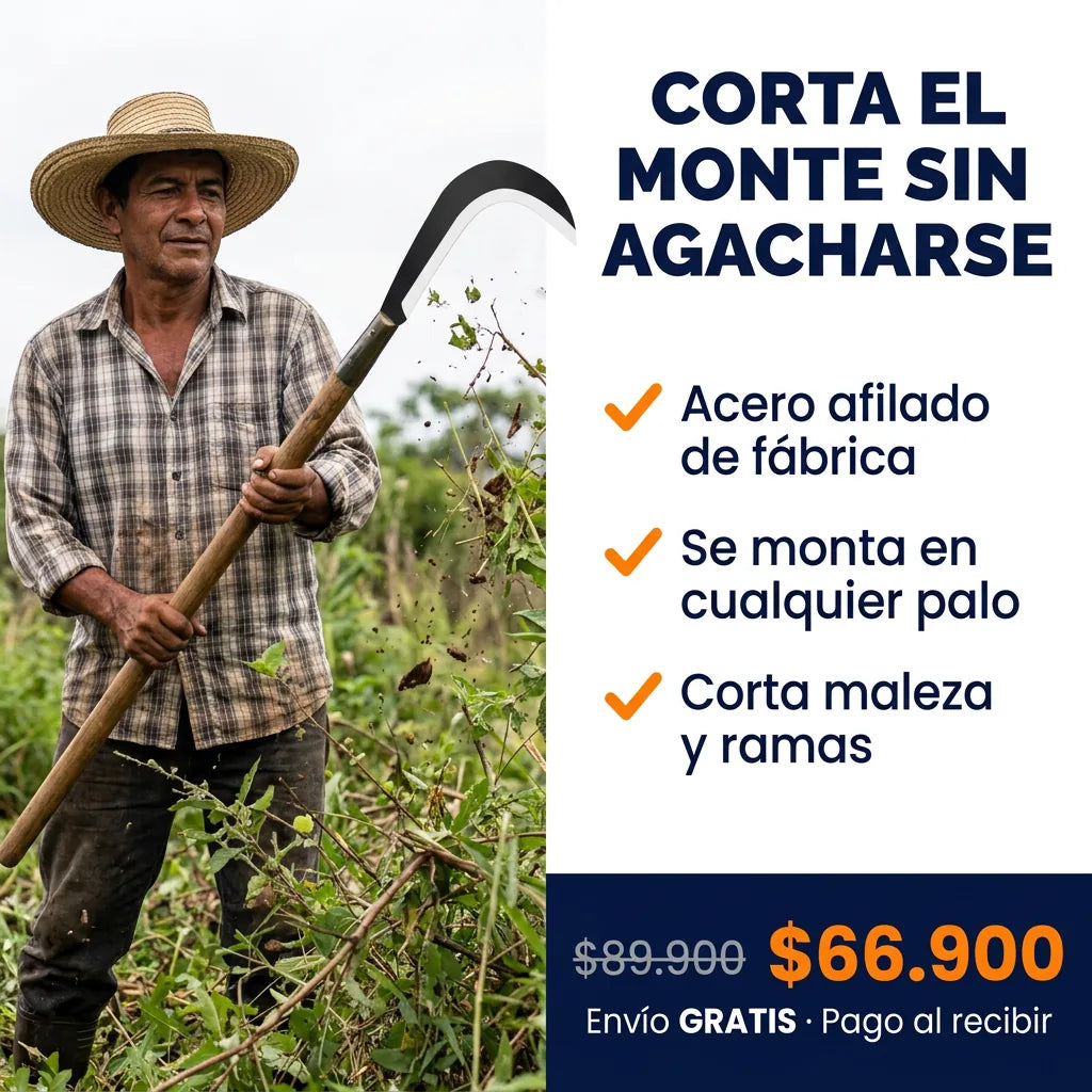 CABEZAL DE HOZ AFILADO