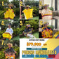 PONCHO MUNDIALISTA SELECCIÓN COLOMBIA